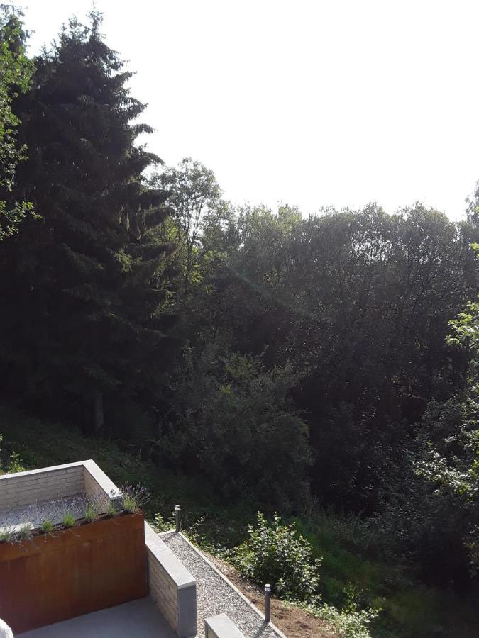 Terrasses De Malmedy - Duplex 419公寓 外观 照片